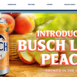 Busch Light Peach And Mountain Dew